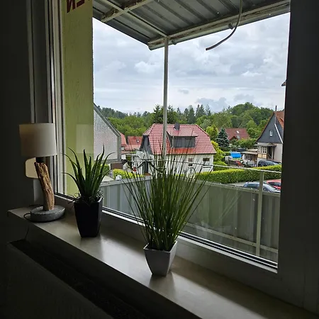 Ferienwohnung Suelzhayn  *