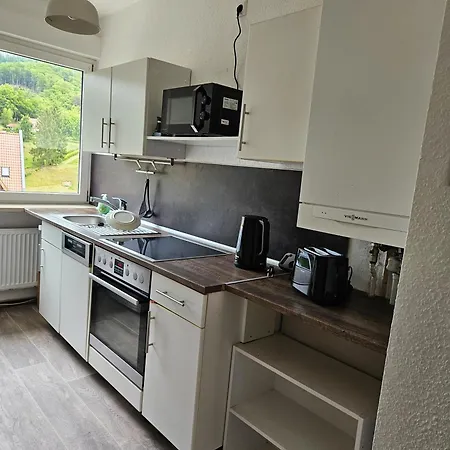 Ferienwohnung Suelzhayn